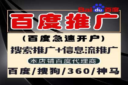 行业标杆的SEM竞价营销案例研究